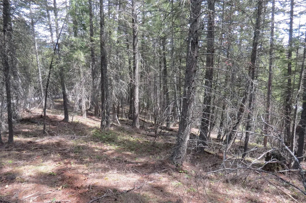 101 Tamarack Drive Kalispell MT 59901