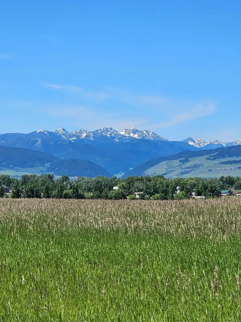 550 Little Valley Road Bozeman MT 59715