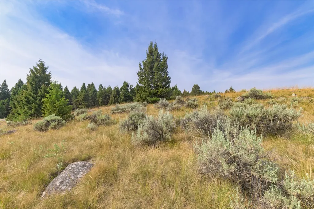 817 Pintler View Road Deer Lodge MT 59722