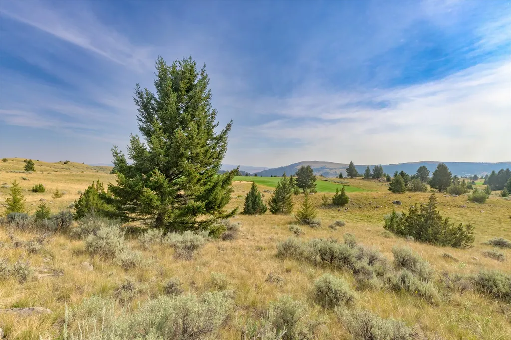 817 Pintler View Road Deer Lodge MT 59722