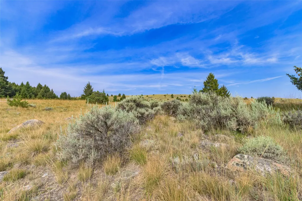 817 Pintler View Road Deer Lodge MT 59722