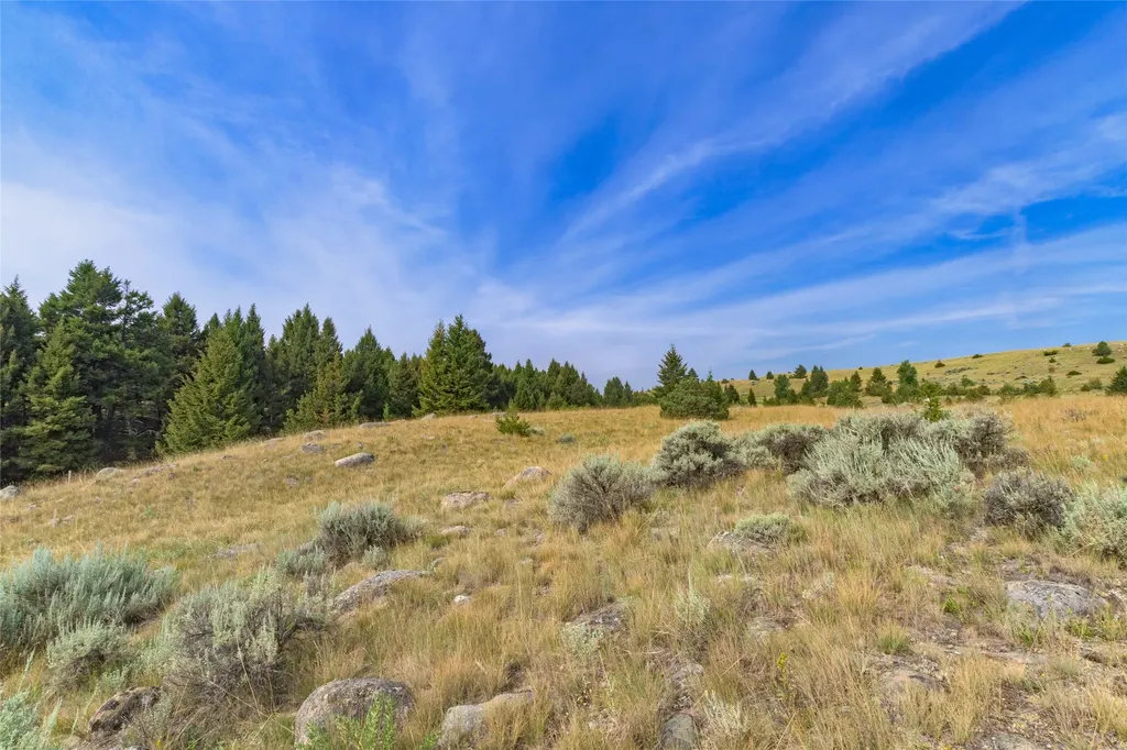 817 Pintler View Road Deer Lodge MT 59722