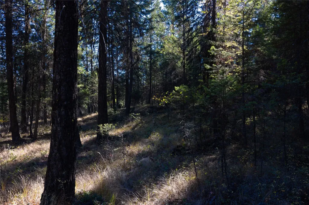 10 Acres Gut Creek Road Rexford MT 59930