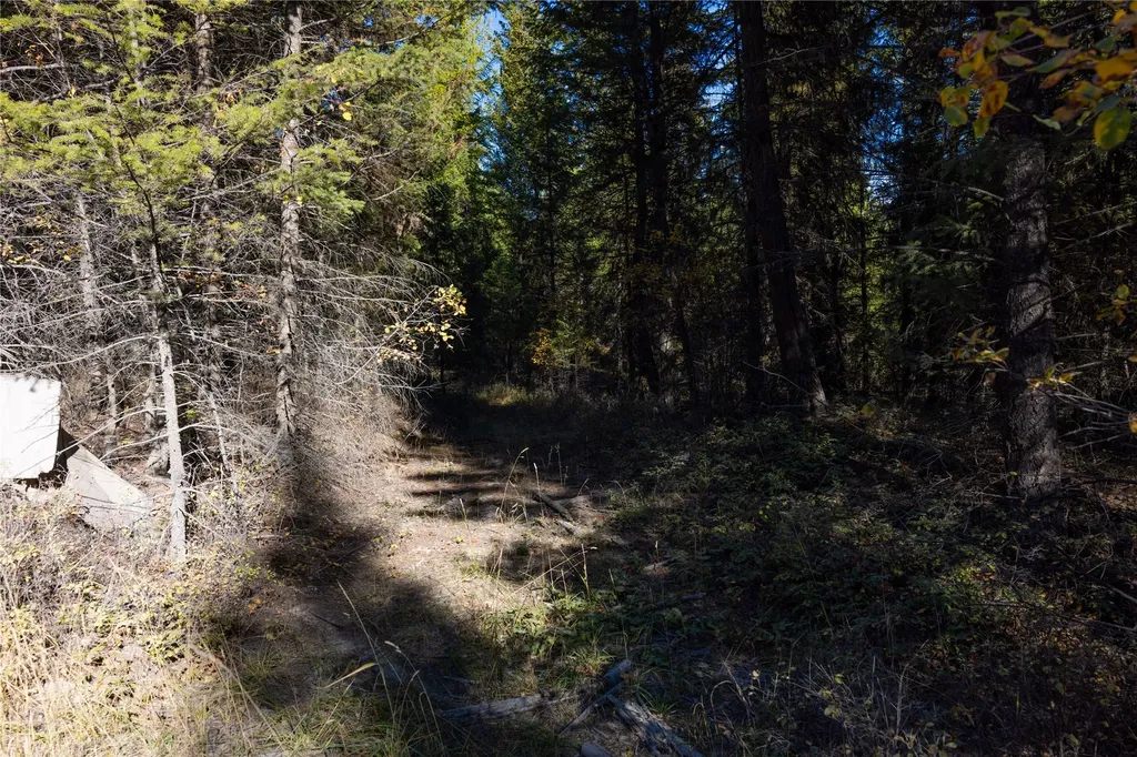 10 Acres Gut Creek Road Rexford MT 59930