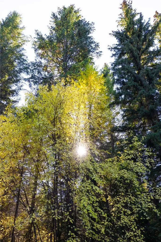 10 Acres Gut Creek Road Rexford MT 59930