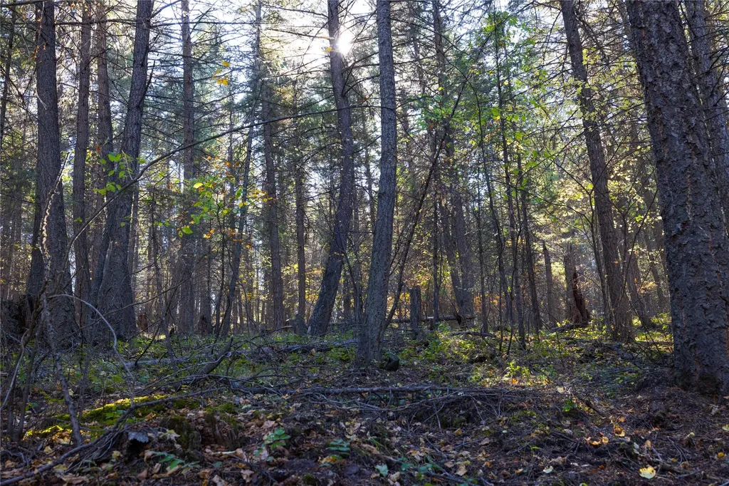 10 Acres Gut Creek Road Rexford MT 59930