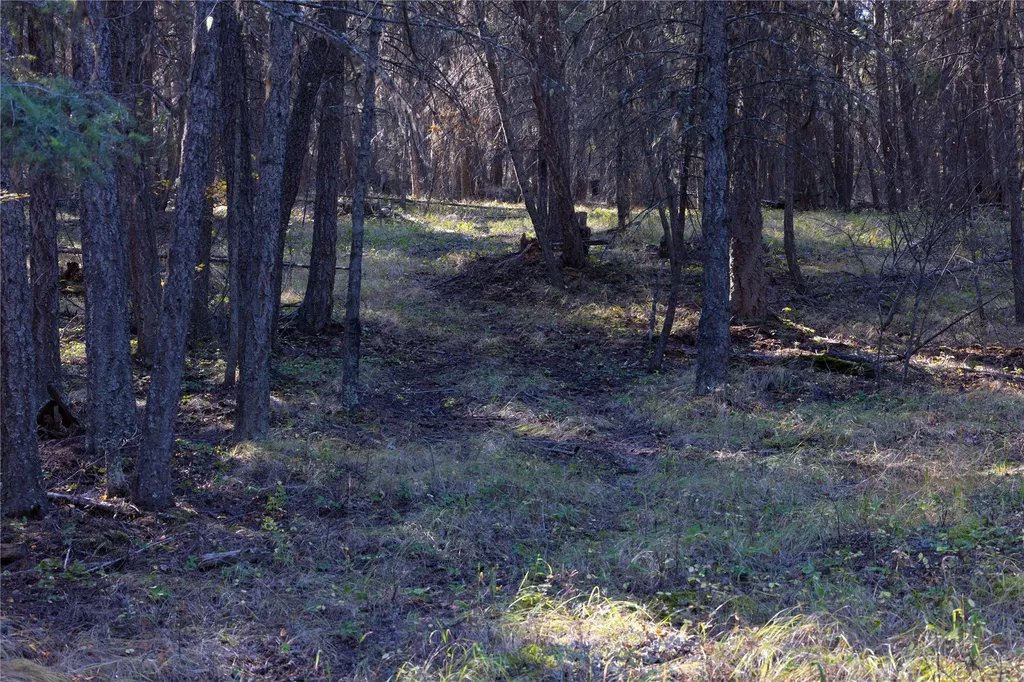 10 Acres Gut Creek Road Rexford MT 59930