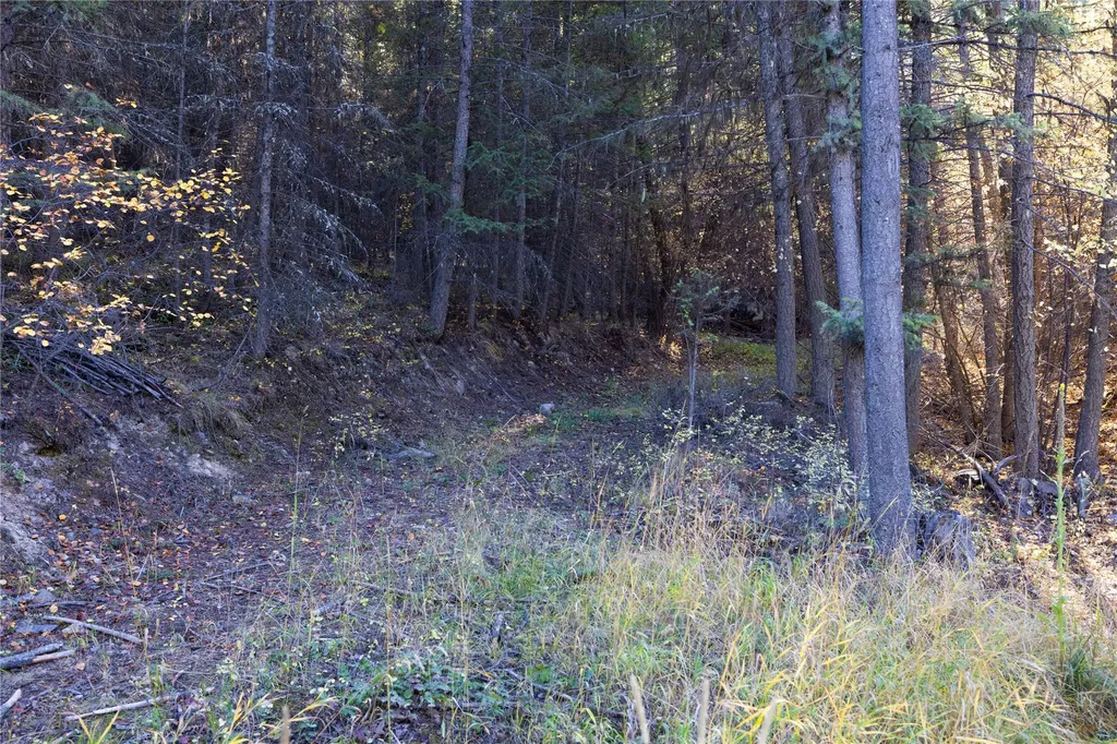 10 Acres Gut Creek Road Rexford MT 59930