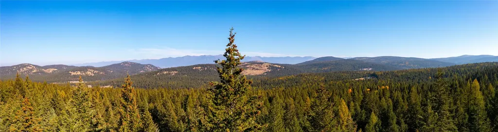 10 Acres Gut Creek Road Rexford MT 59930