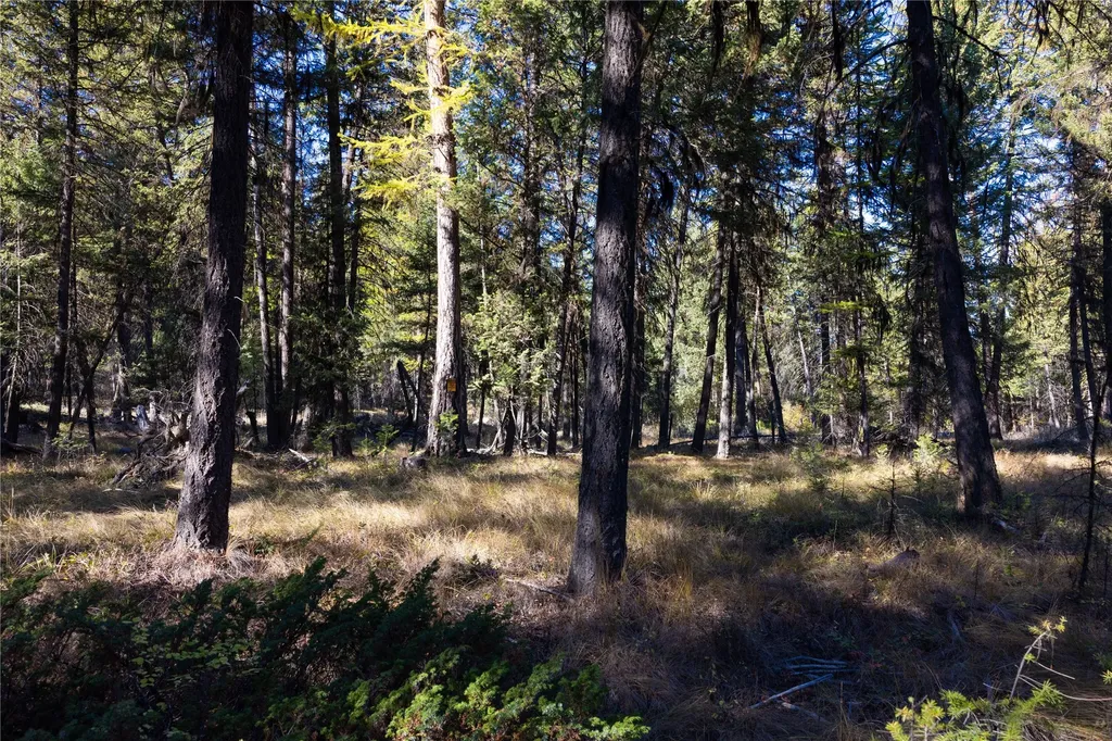 10 Acres Gut Creek Road Rexford MT 59930