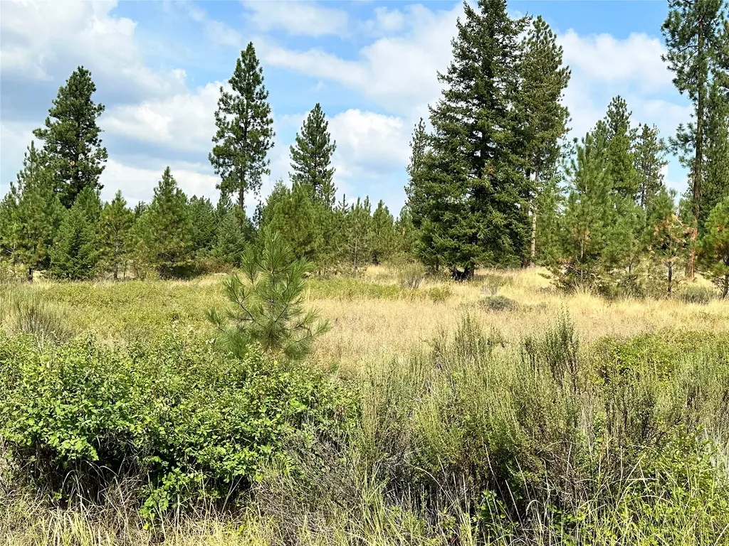 39 Bighorn Bluff Loop Plains MT 59859