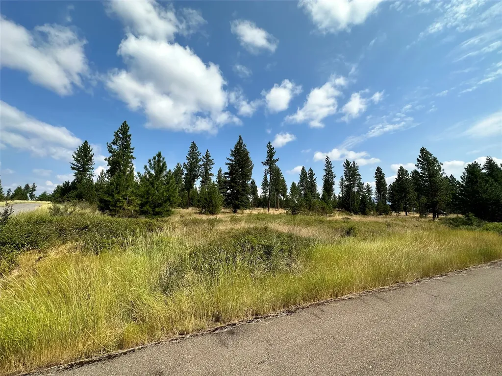 39 Bighorn Bluff Loop Plains MT 59859