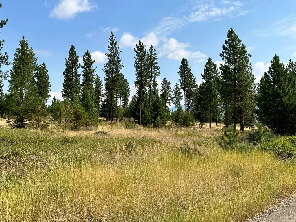 39 Bighorn Bluff Loop Plains MT 59859