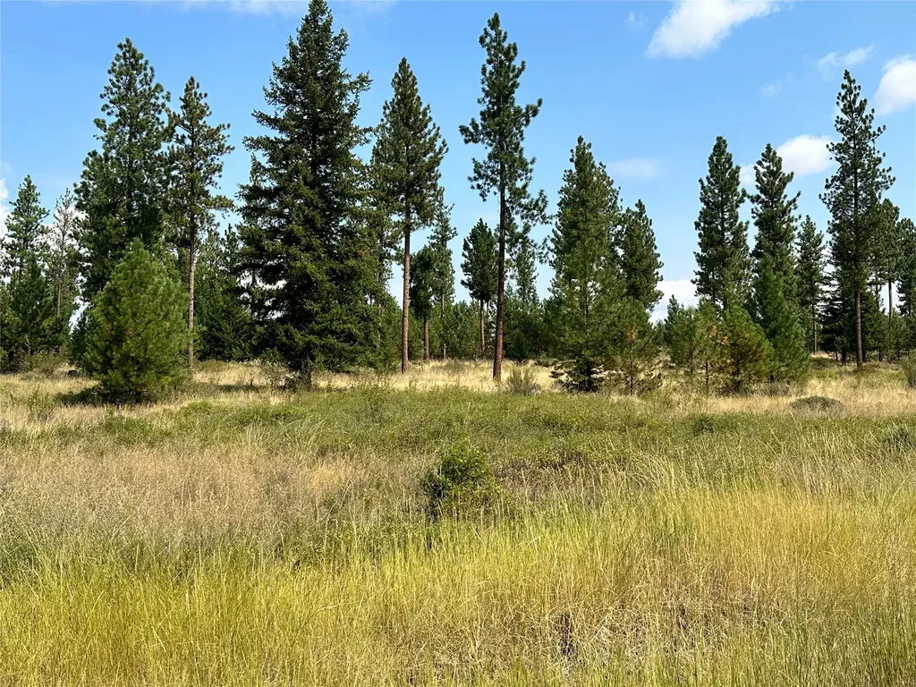 39 Bighorn Bluff Loop Plains MT 59859