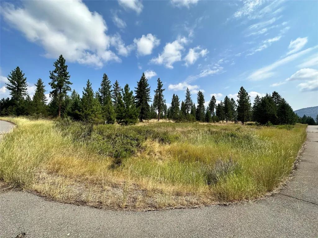 39 Bighorn Bluff Loop Plains MT 59859
