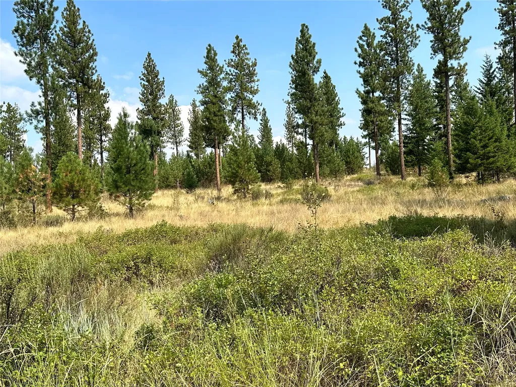 39 Bighorn Bluff Loop Plains MT 59859