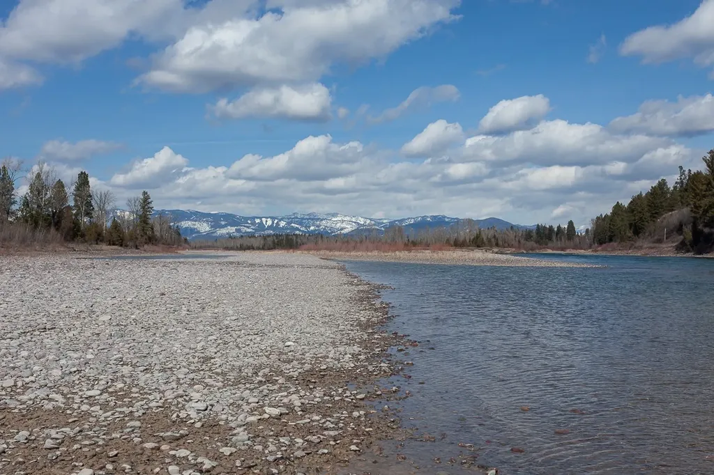 590 Pioneer Road Kalispell MT 59901