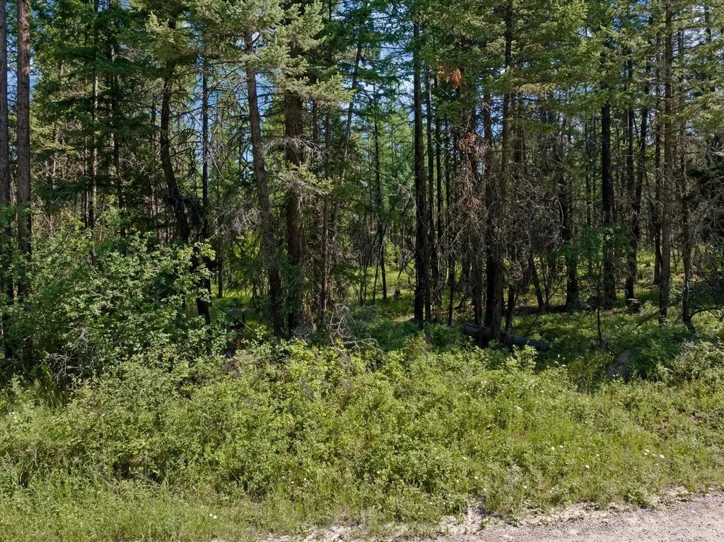 445 Buffalo Trail Somers MT 59932