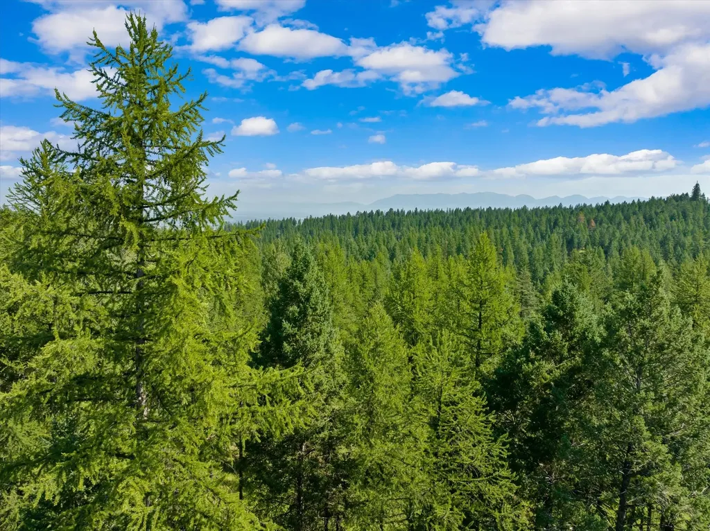 445 Buffalo Trail Somers MT 59932