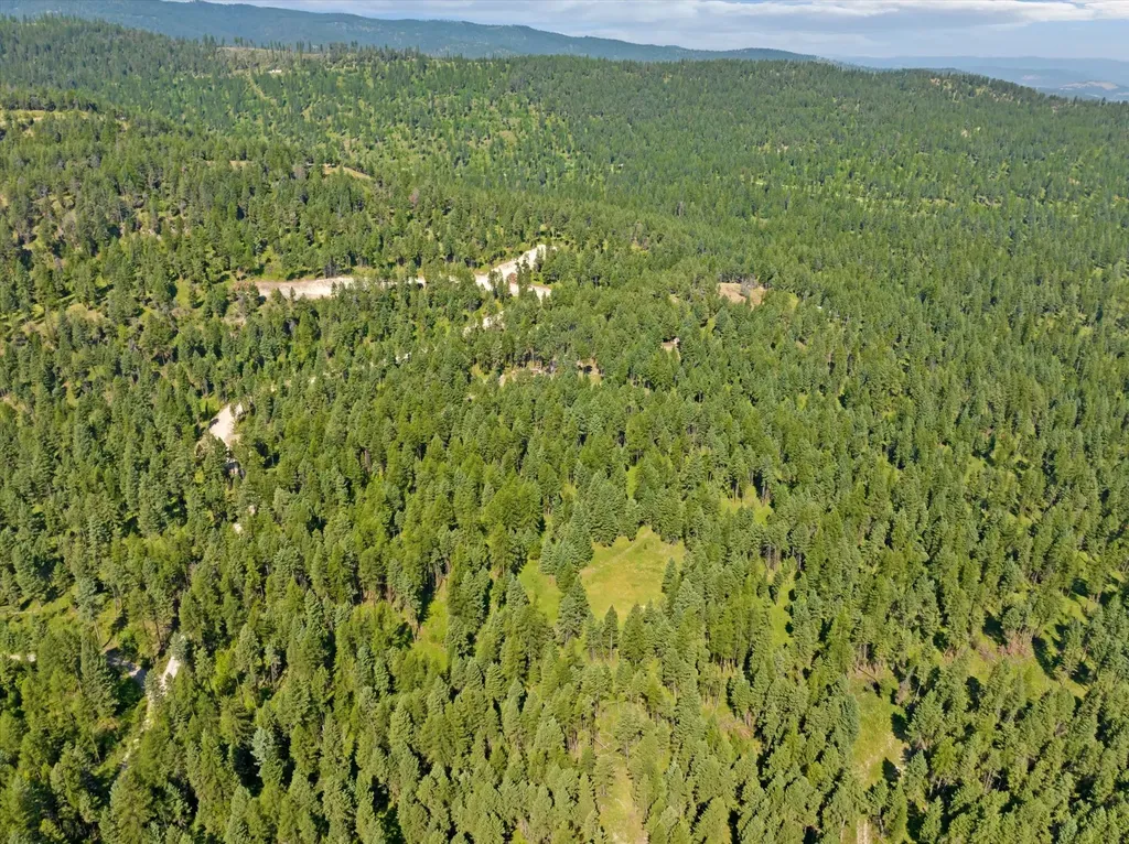 445 Buffalo Trail Somers MT 59932