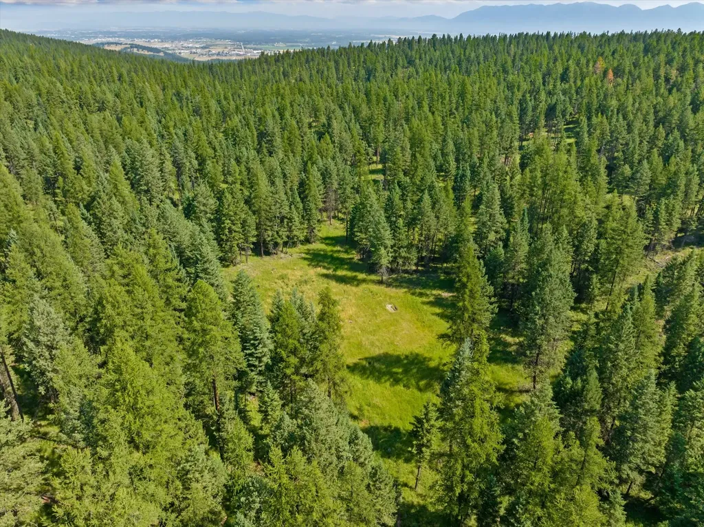 445 Buffalo Trail Somers MT 59932