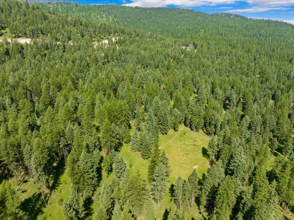 445 Buffalo Trail Somers MT 59932