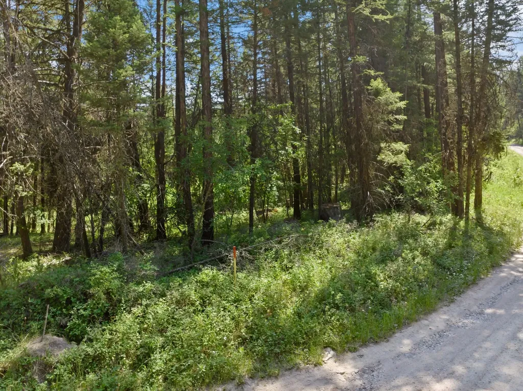 445 Buffalo Trail Somers MT 59932