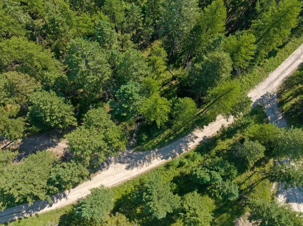 445 Buffalo Trail Somers MT 59932