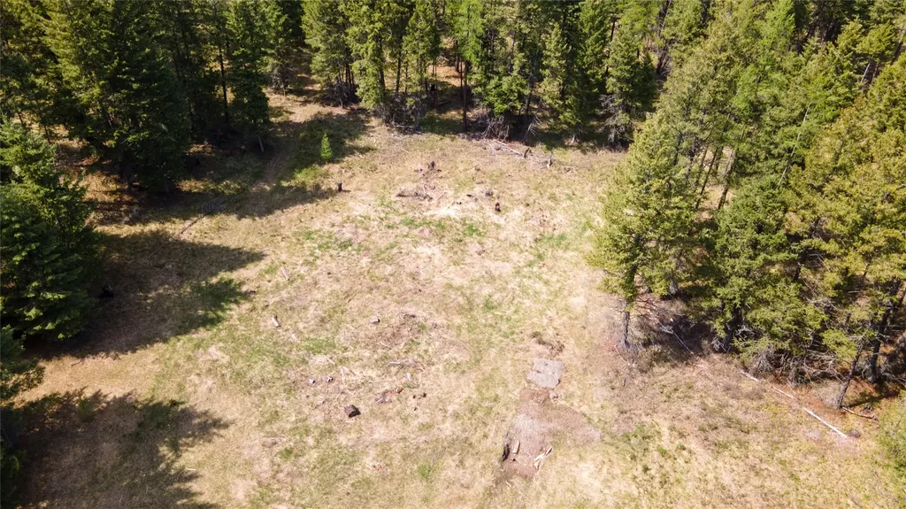 445 Buffalo Trail Somers MT 59932