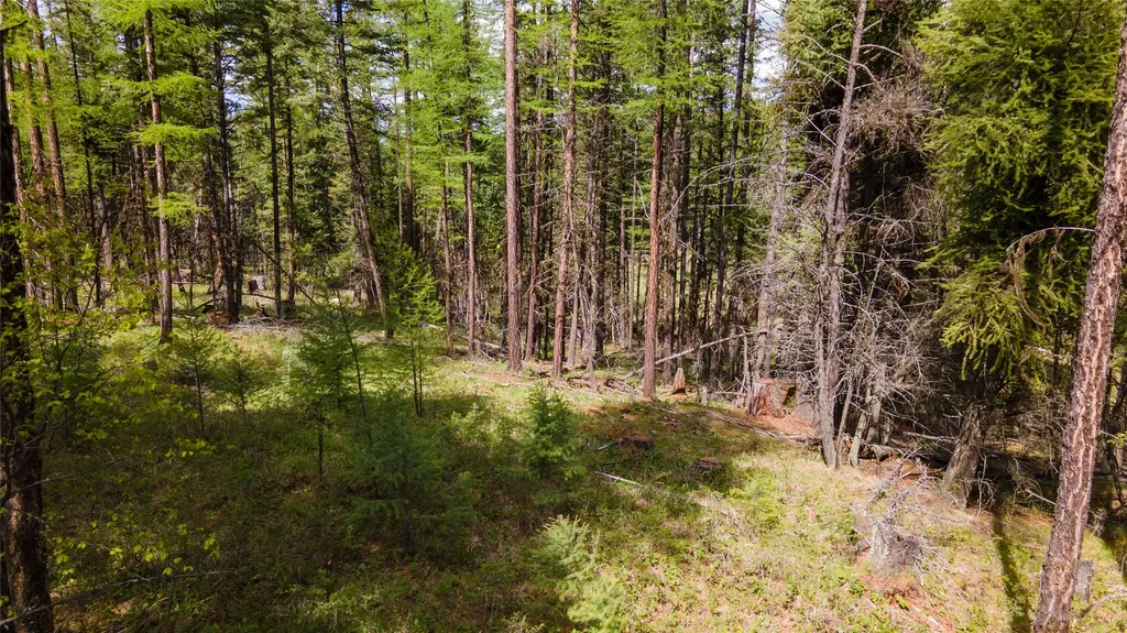 445 Buffalo Trail Somers MT 59932