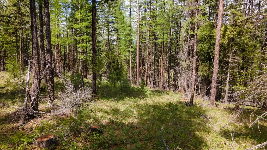 445 Buffalo Trail Somers MT 59932
