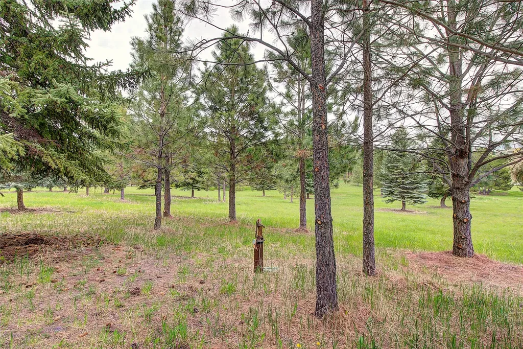 Nhn Blue Spruce Drive Polson MT 59860