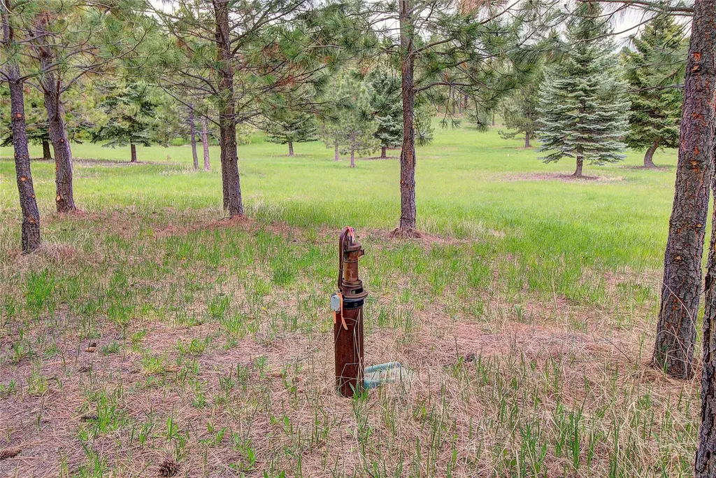 Nhn Blue Spruce Drive Polson MT 59860