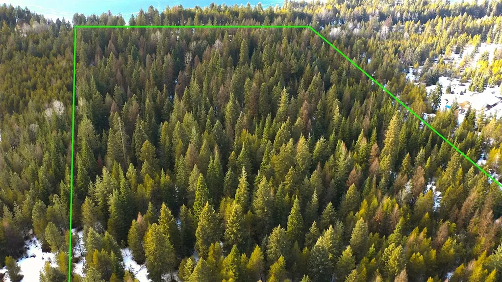 Nhn Driftwood Point Lane Trout Creek MT 59874