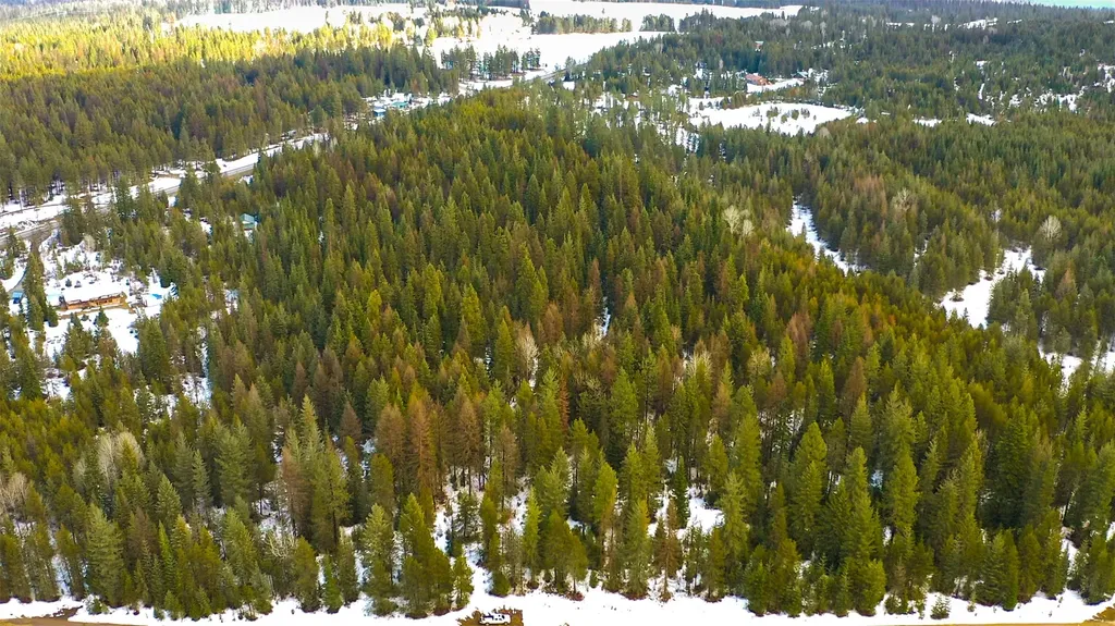 Nhn Driftwood Point Lane Trout Creek MT 59874