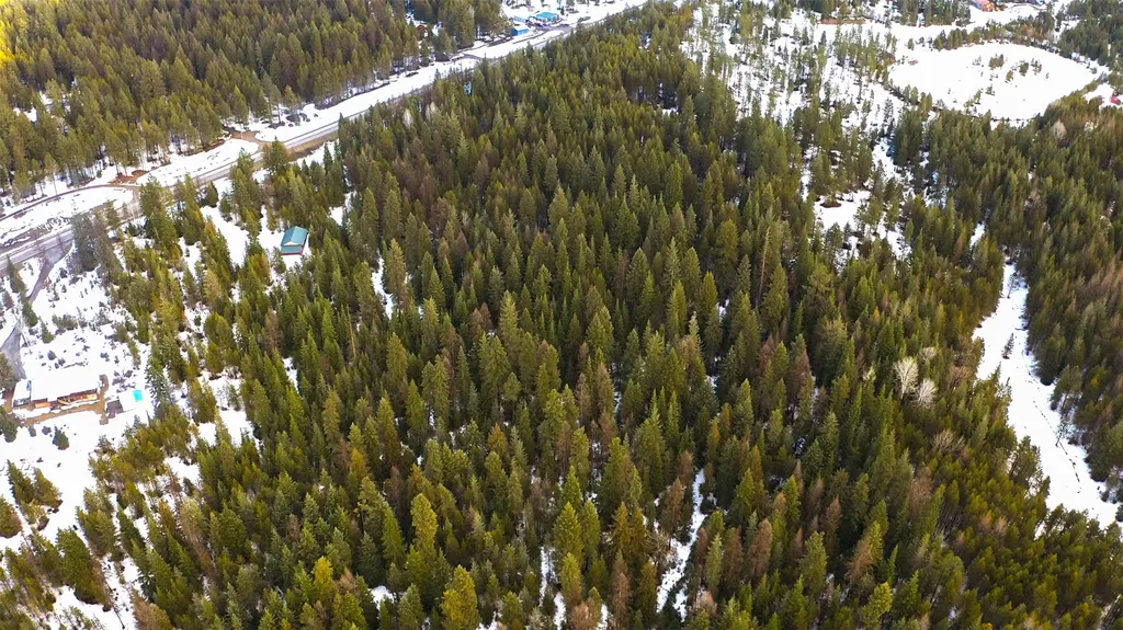 Nhn Driftwood Point Lane Trout Creek MT 59874