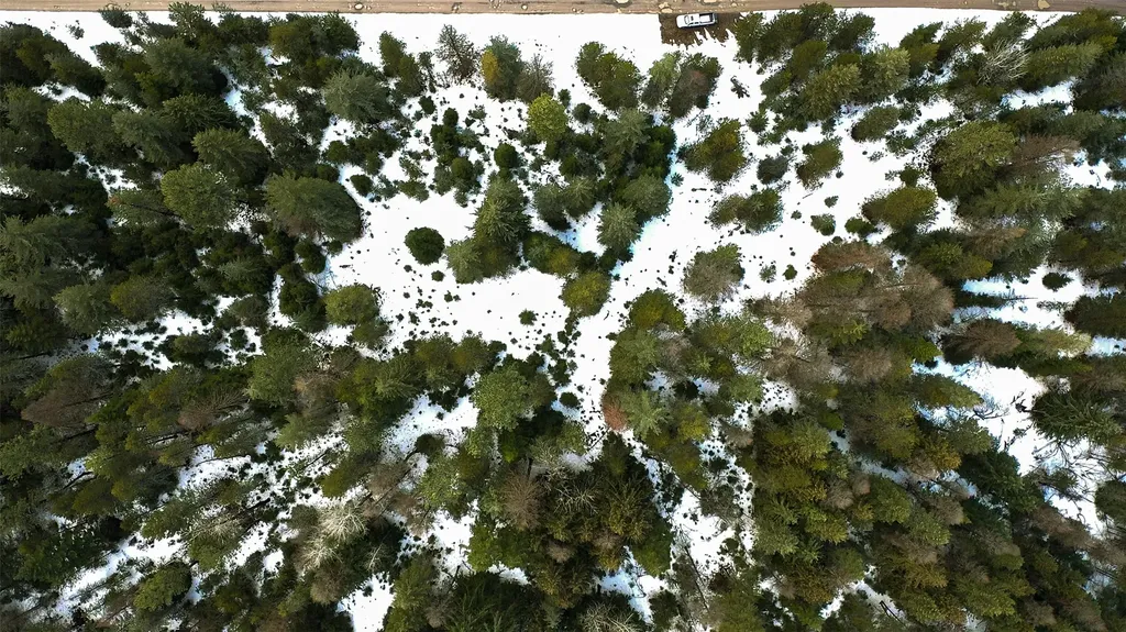 Nhn Driftwood Point Lane Trout Creek MT 59874