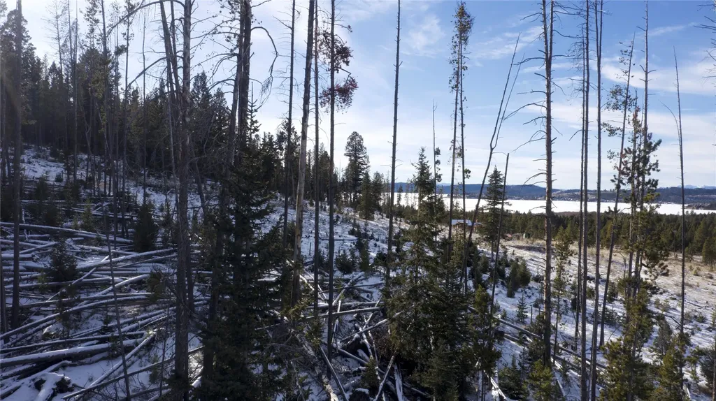Lot 38 Mountain View Estates Anaconda MT 59711