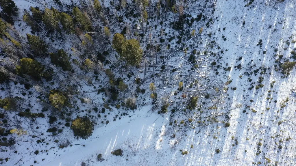 Lot 38 Mountain View Estates Anaconda MT 59711