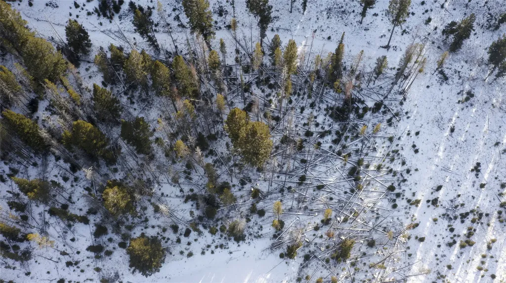 Lot 38 Mountain View Estates Anaconda MT 59711