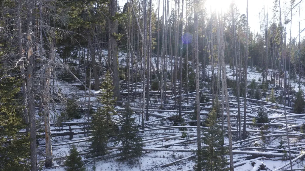 Lot 38 Mountain View Estates Anaconda MT 59711