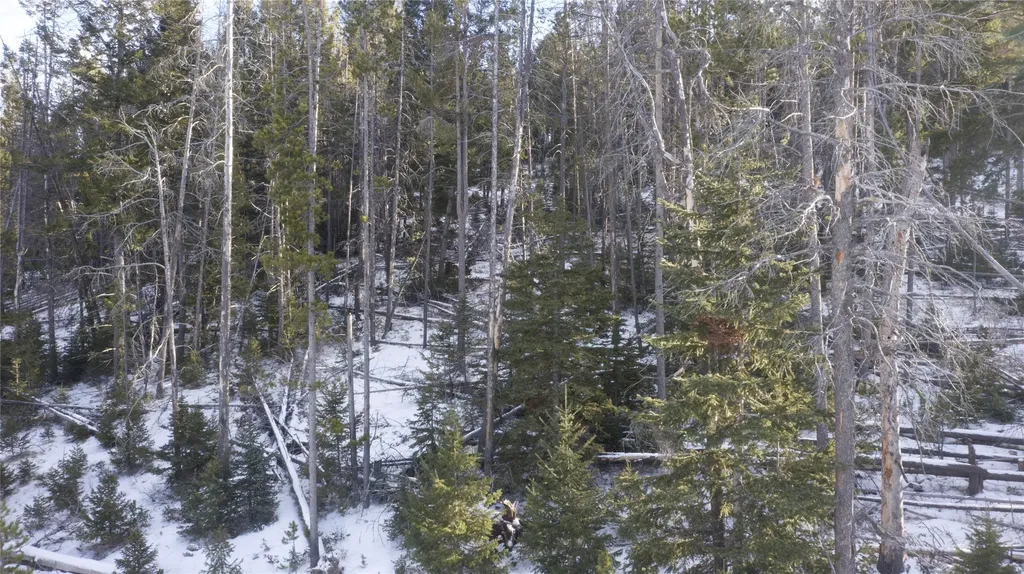 Lot 38 Mountain View Estates Anaconda MT 59711