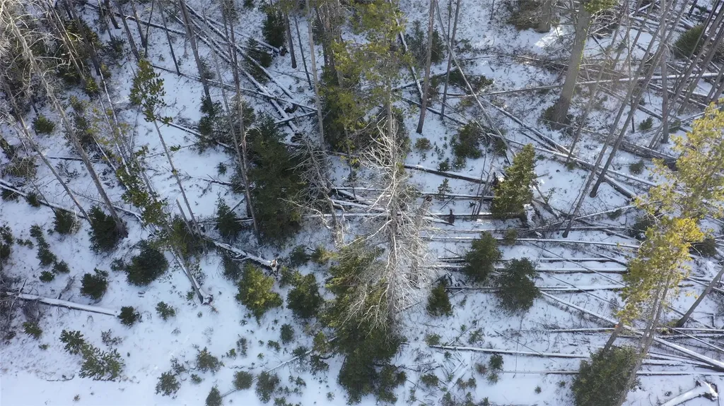 Lot 38 Mountain View Estates Anaconda MT 59711