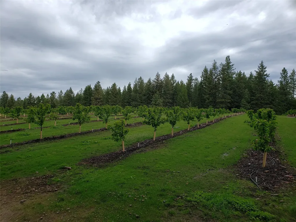 32624 S Finley Point Road Polson MT 59860