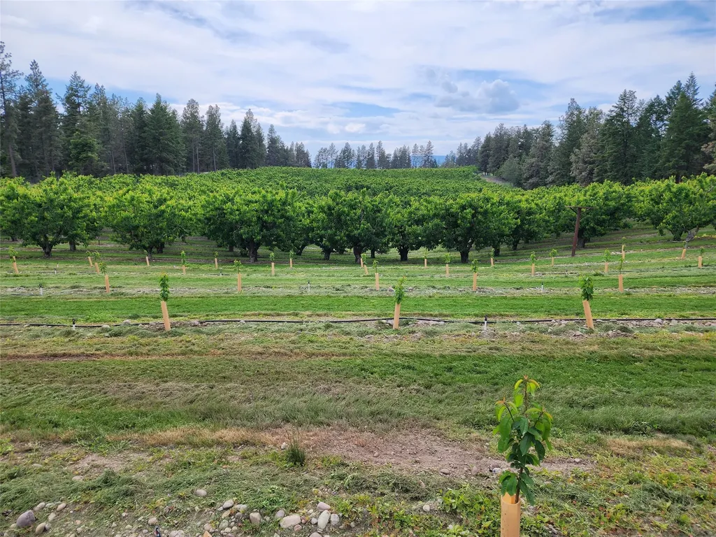 32624 S Finley Point Road Polson MT 59860