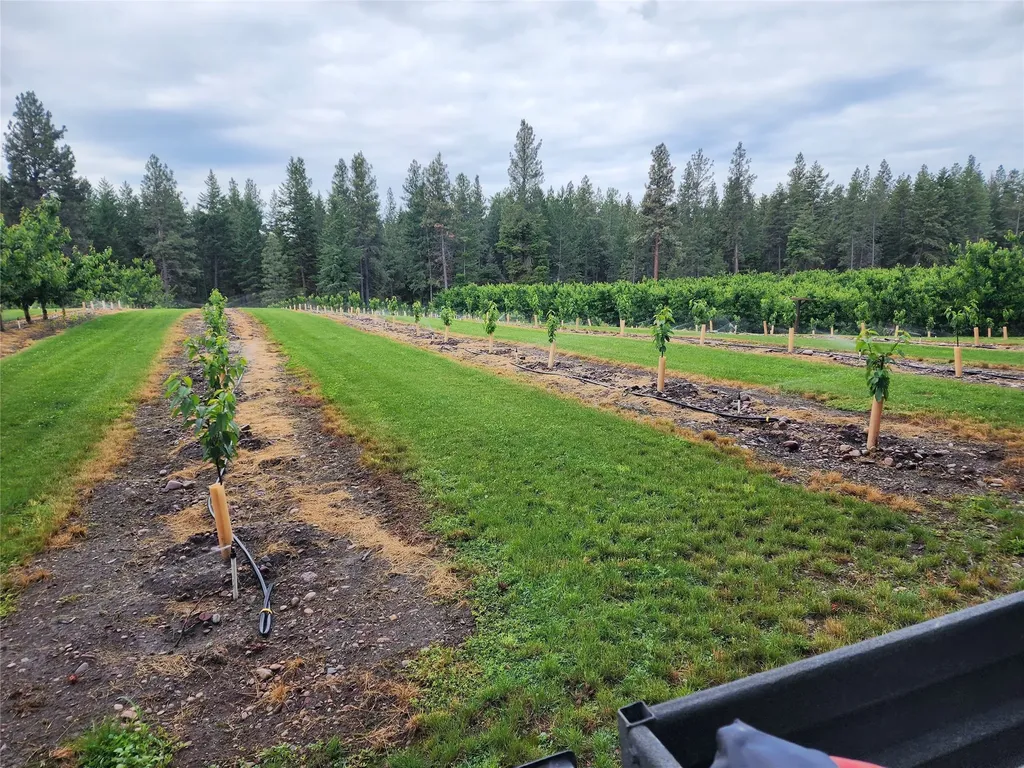 32624 S Finley Point Road Polson MT 59860