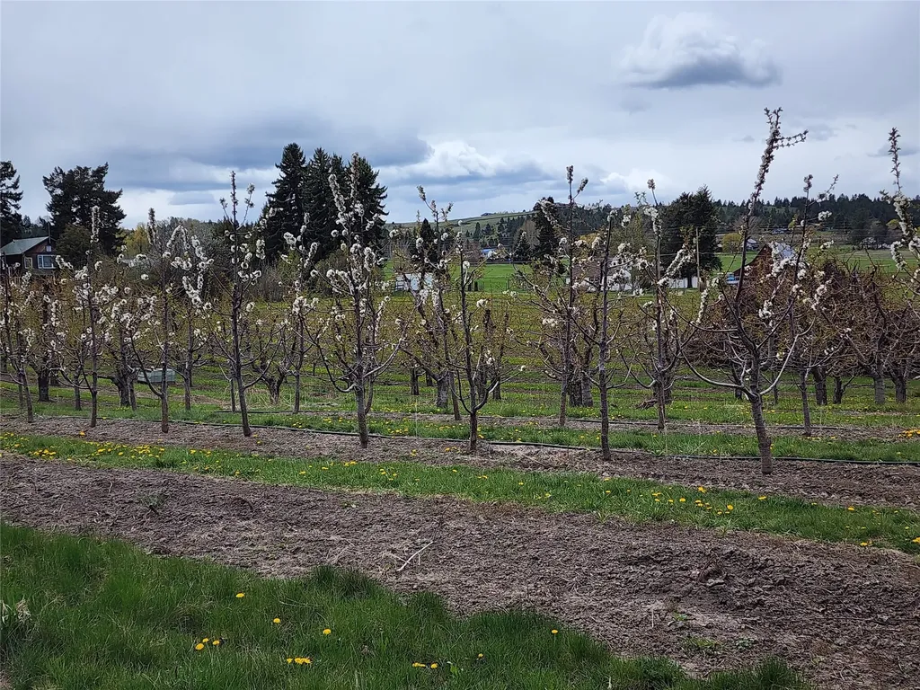 32624 S Finley Point Road Polson MT 59860