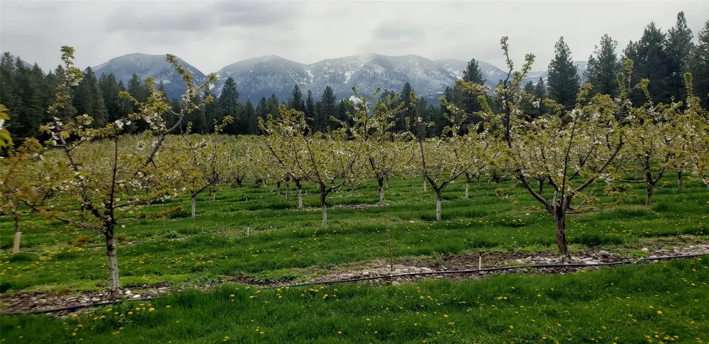 32624 S Finley Point Road Polson MT 59860