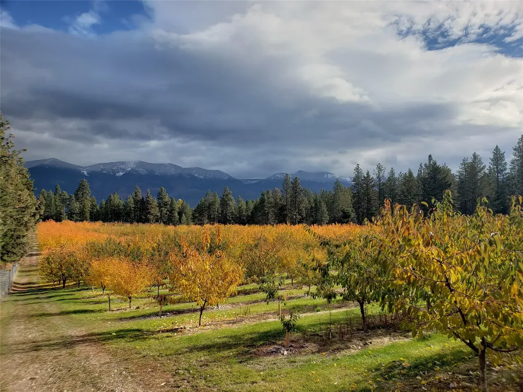 32624 S Finley Point Road Polson MT 59860