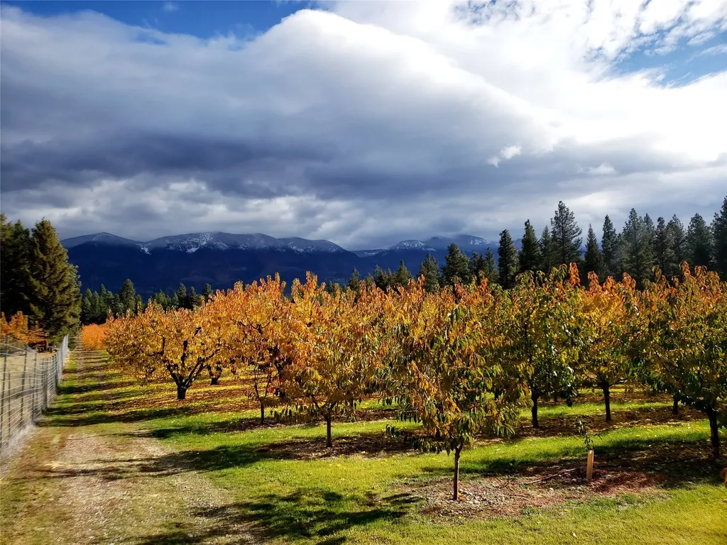 32624 S Finley Point Road Polson MT 59860